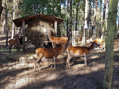 Die Futterhütte für das Rotwild ist gefüllt