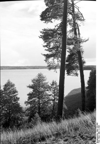  Am Werbellinsee