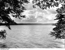 Werbellinsee 