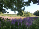 Rheinsberg