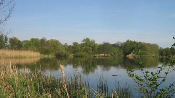 Bild 2: Eine Havelbucht bei Deetz