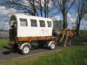 Kutschfahrt am Vatertag 2008 im Naturpark Nuthe-Nieplitz 