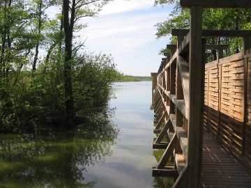 Bohlenweg mit Aussichtsplattform zur Vogelbeobachtung im Riebener See
