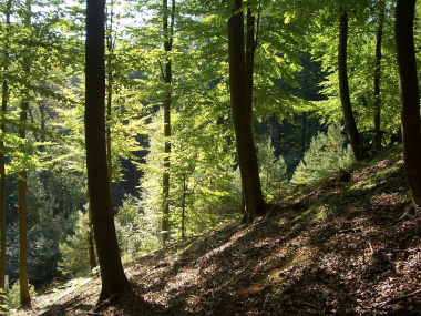 Höhenunterschiede von über 100 m auf kürzester Distanz wie hier in Bad Freienwalde (Oder)